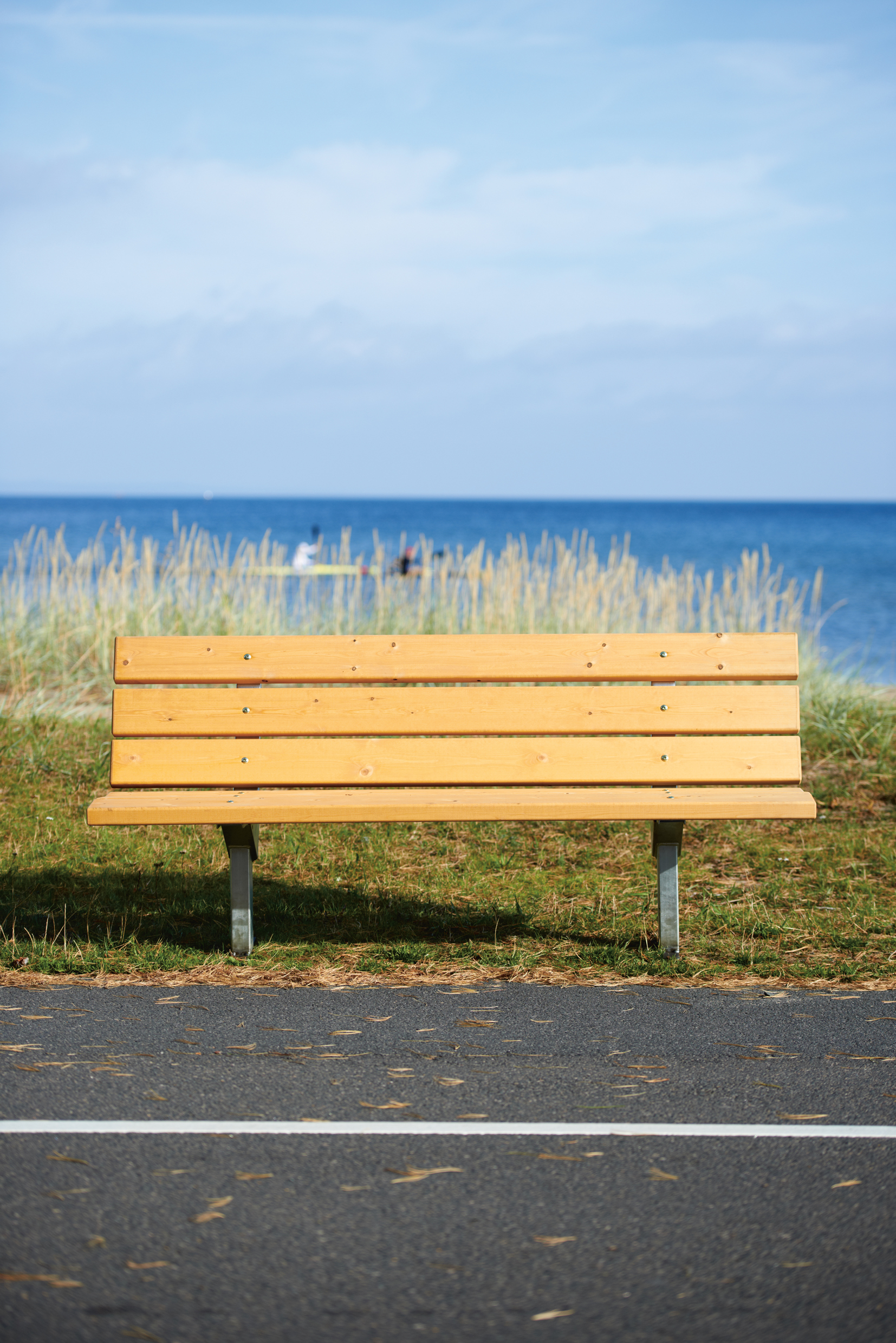 Park Sofa Djurgården 