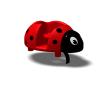 Voorjaars Speelgoed Lucky Lady Bug